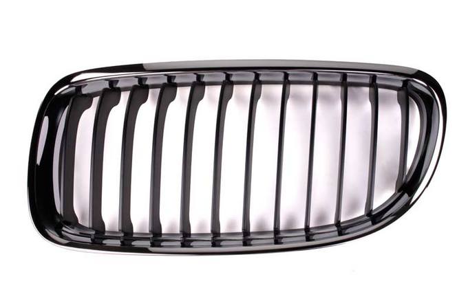 BMW Kidney Grille - Front Driver Side 51137201967